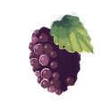 Icon botanical brambleberry.png