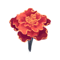 Icon flower marigold.png