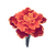 Icon flower marigold.png