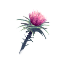 Icon flower milkthistle.png