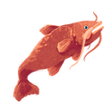 Icon fish torfel.png