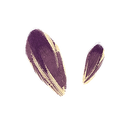 Icon seed sunflower.png