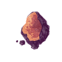 Icon botanical chaga.png