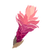 Icon flower ginger.png