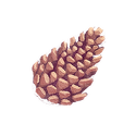 Icon botanical pine cone.png