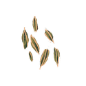 Icon spice fennel seeds.png