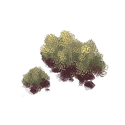 Icon moss rock cap.png