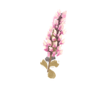 Icon flower mint.png