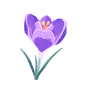 Icon flower crocus.png