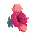 Icon flower hibiscus.png