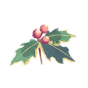 Icon botanical holly berry.png