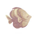 Icon fish birch.png