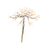 Icon flower carrot.png