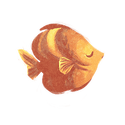 Icon fish marigold.png