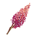 Icon spice sumac.png