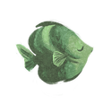 Icon fish pine.png