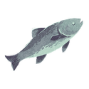 Icon fish common.png