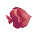 Icon fish rose.png