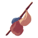 Icon bag bindle.png