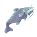 Icon fish snow.png