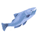 Icon fish moon.png