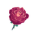 Icon flower rose.png