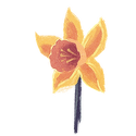 Icon flower daffodil.png