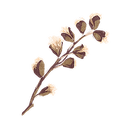 Icon seed poplar.png