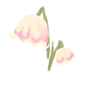 Icon flower lilyofthevalley.png