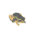 Icon critter frog.png