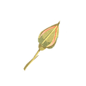 Icon botanical flower bud.png