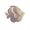 Icon fish poplar.png