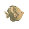 Icon fish chestnut.png