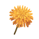 Icon flower dandelion.png