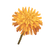 Icon flower dandelion.png