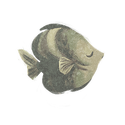 Icon fish beech.png